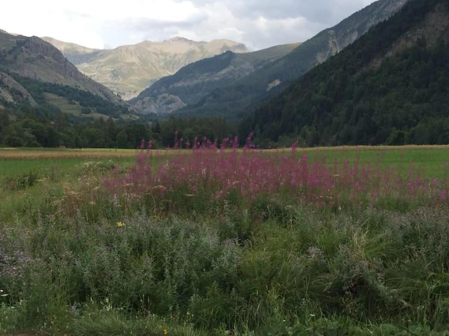 Appart Tres Ensoleille 5-6 Pers Au Pied Des Pistes Ancelle Exterior photo